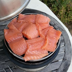 Smoking Salmon