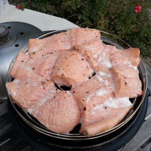 Smoked Salmon