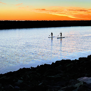 Paddleboarders