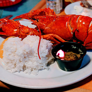 Lobster