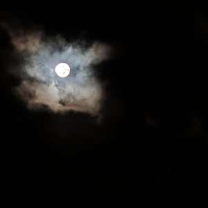 Full moon