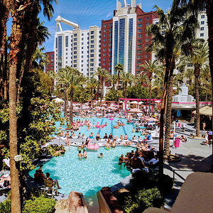 Flamingo GO pool