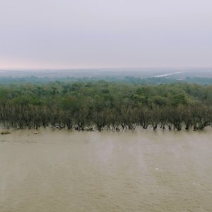 Mississippi River