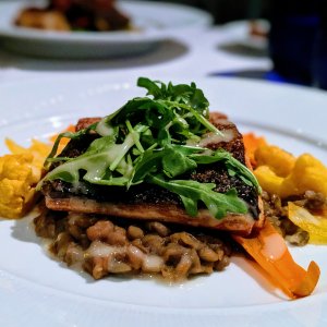 Salmon