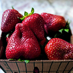 Organic Strawberries