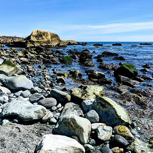 Dana Point tidepools
