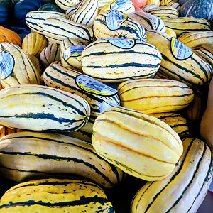 Delicata squash