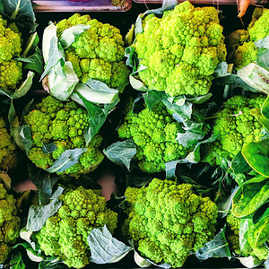 Romanesco