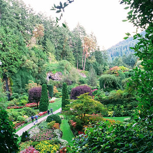 Butchart Gardens