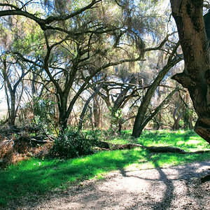 Caspers Wilderness Park