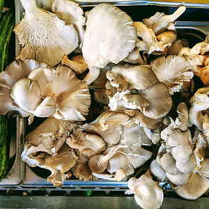 Mushrooms