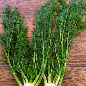Organic fennel