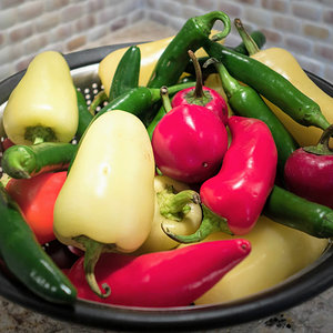 Peppers