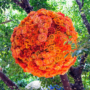 Flower arrangement