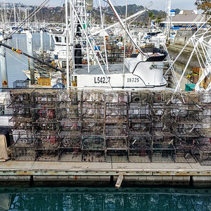 Lobster traps