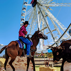 Orange County fair