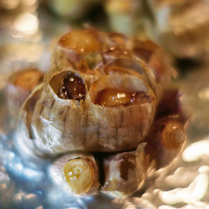 Roasting garlic
