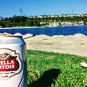 Stella Artois Beer