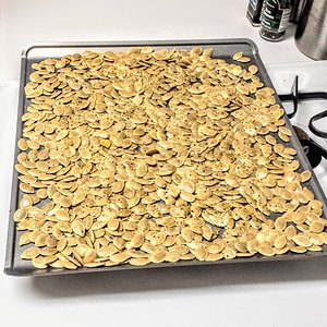 Pumpkin Seeds