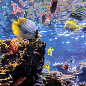 Maui Ocean Center