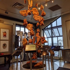 Boudin bakery