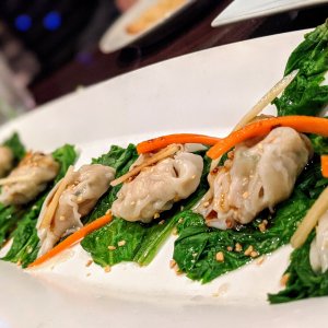 Chicken wontons