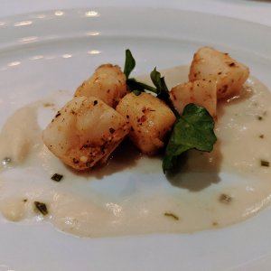 Scallops