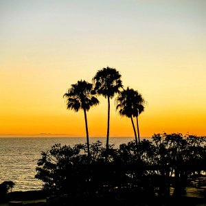Dana Point sunset