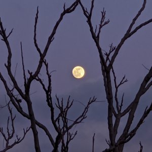Full moon
