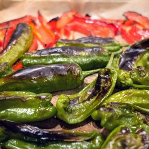 Shishitos