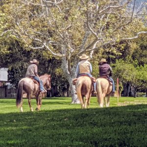 Horseback riders