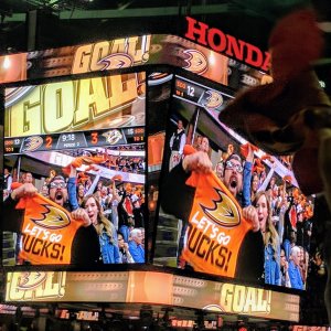 Anaheim Ducks