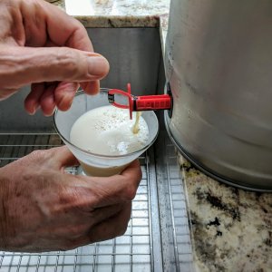 Homebrewed beer