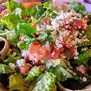 Fire grilled chicken salad