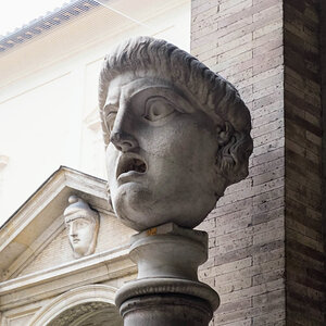 Bust