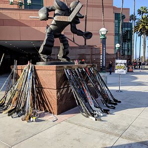 Ducks honor Canadian Hockey team