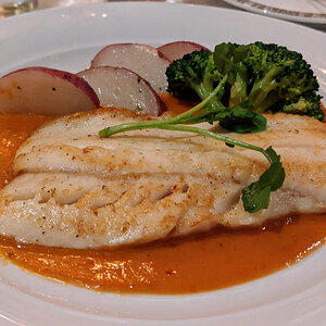 Sea bass