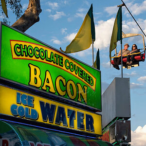 County fair
