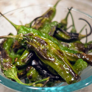 Shishito peppers