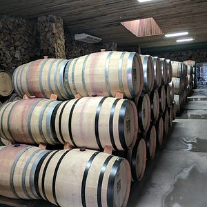 Wine barrels