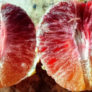 Ombre orange
