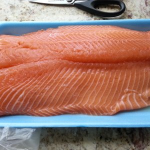 Salmon filet