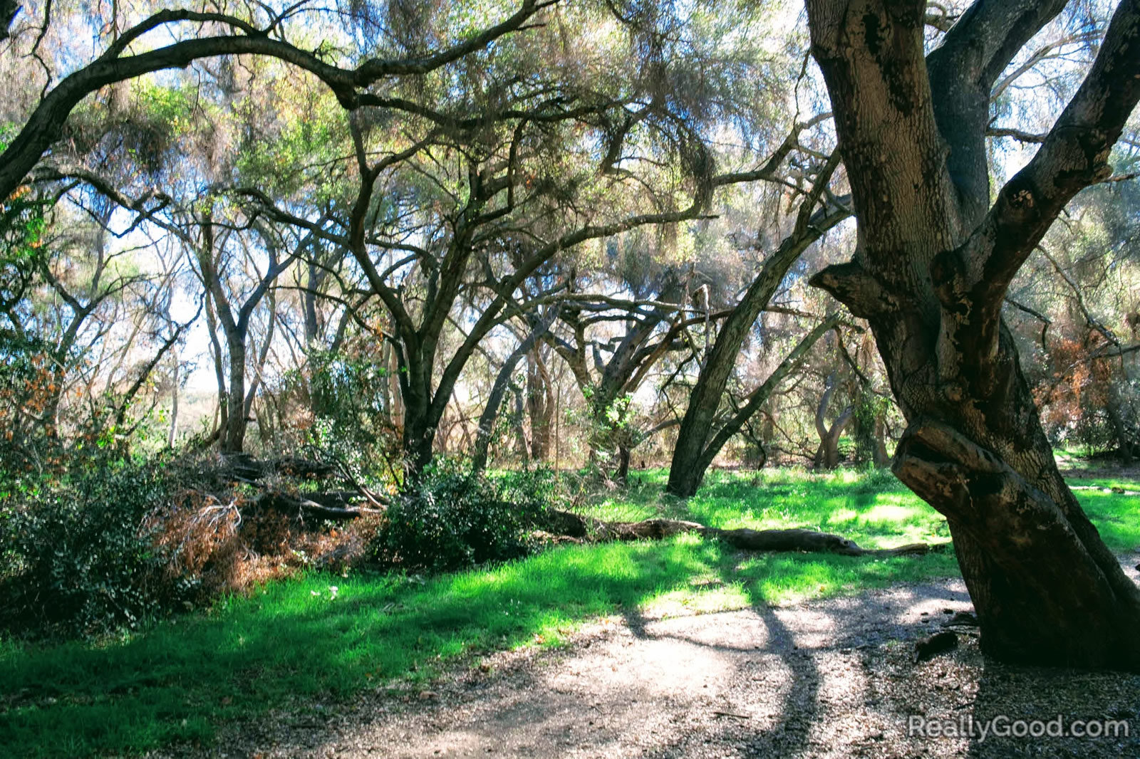Caspers Wilderness Park