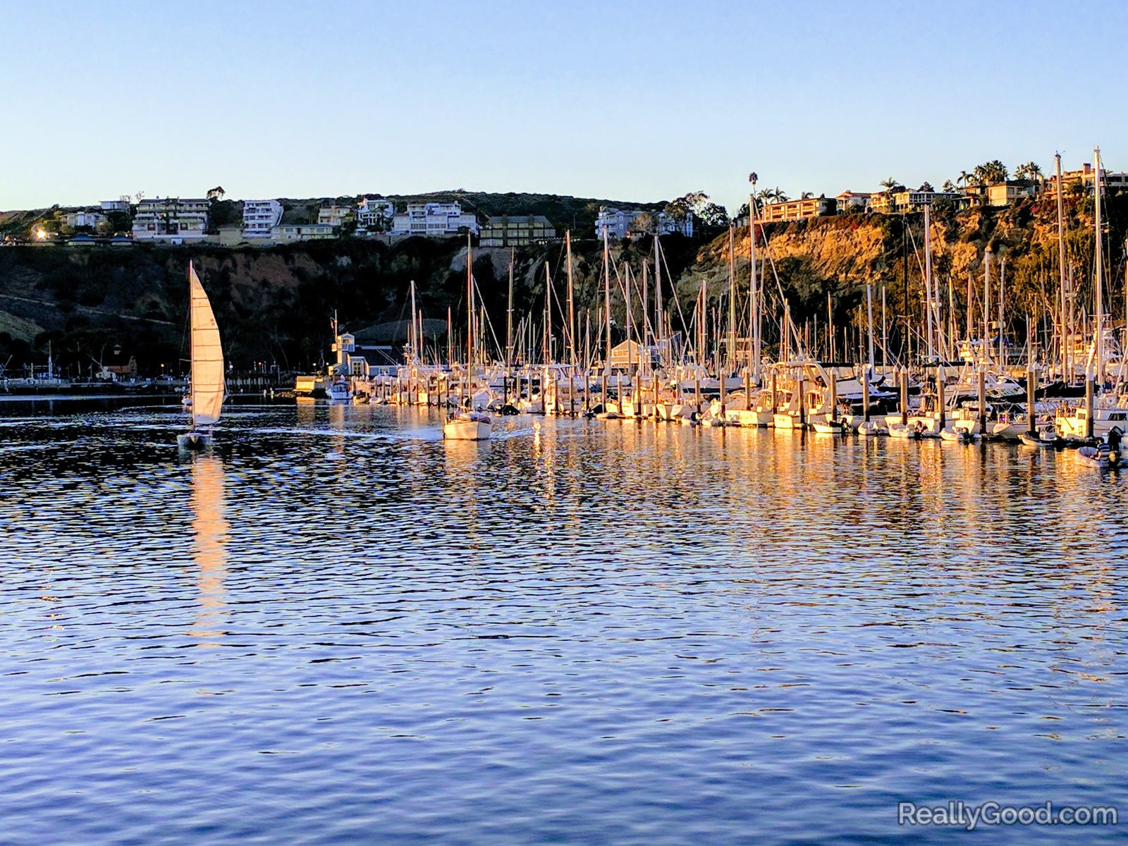Dana Point harbor