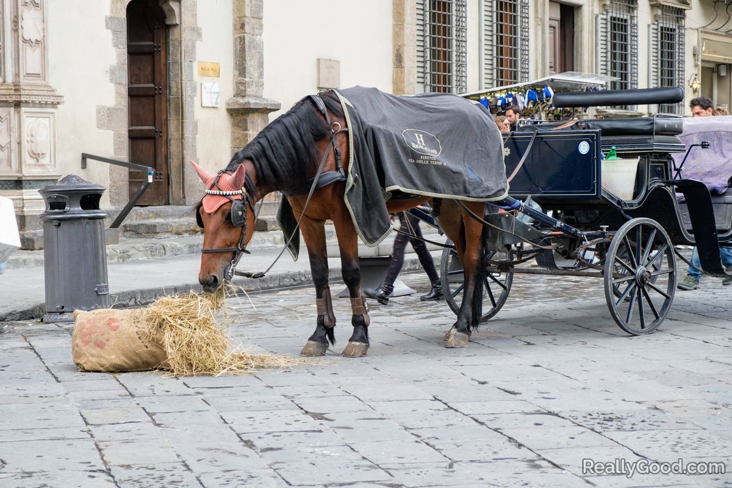 Horse drawn carriage