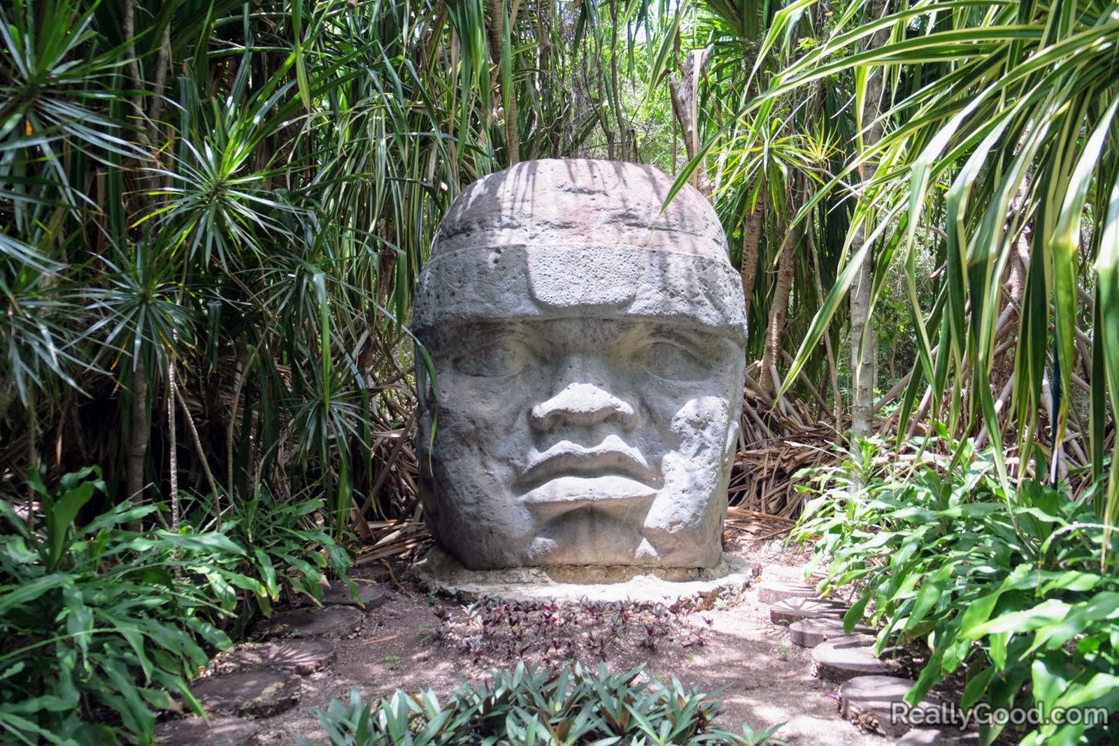 Olmec colossal head