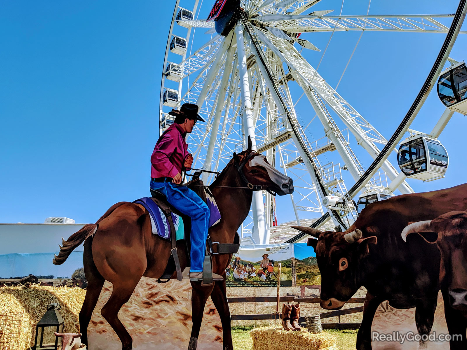 Orange County fair