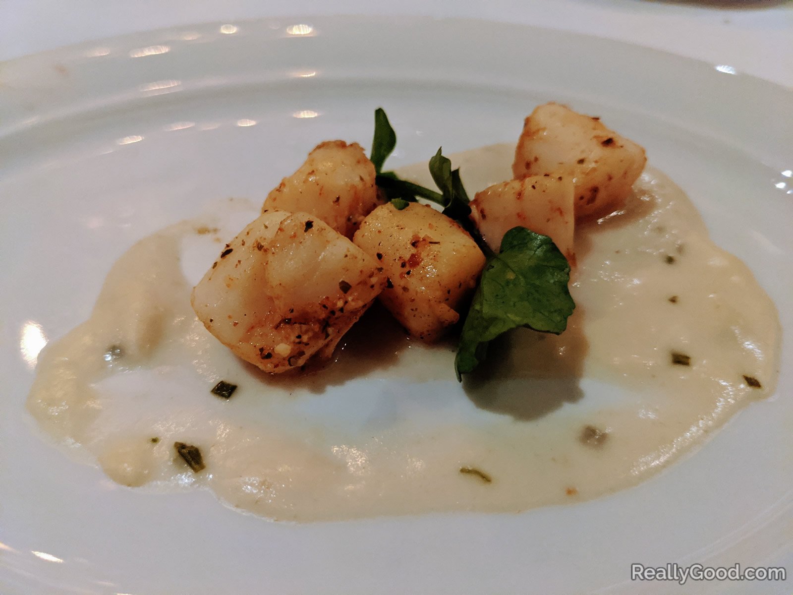 Scallops